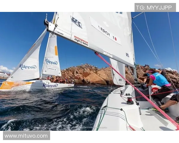 蓝网与老鹰精彩对决在线直播全程回顾与分析尽在这里