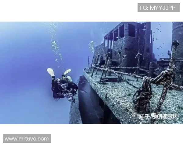 VS重建事件背后的真相与影响分析详解