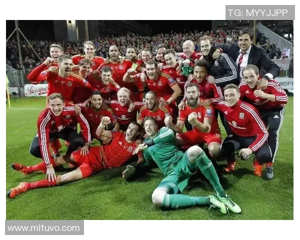 德国与威尔士足球比赛前瞻分析及胜负预测探讨 德国与威尔士足球比赛前瞻分析及胜负预测探讨