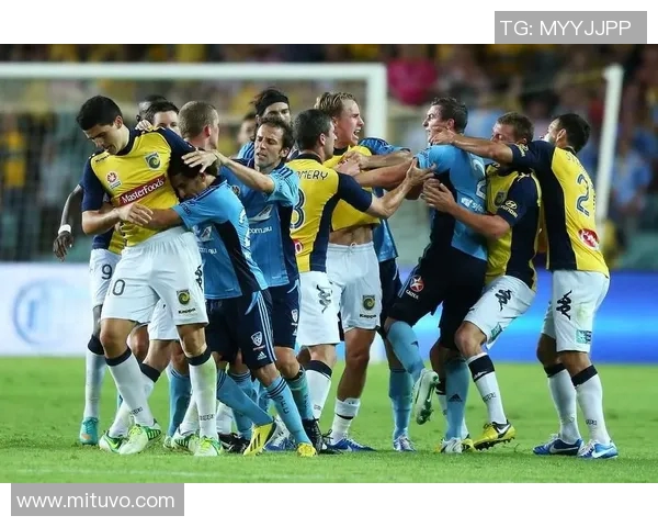 新城堡脸与墨尔本城的精彩对决揭示足球魅力与战术较量