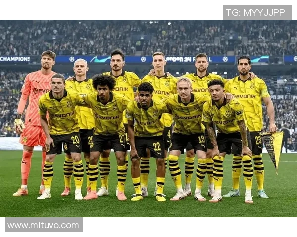 多特蒙德球迷暴力事件引发欧冠禁赛与巨额罚款风波 多特蒙德球迷暴力事件引发欧冠禁赛与巨额罚款风波